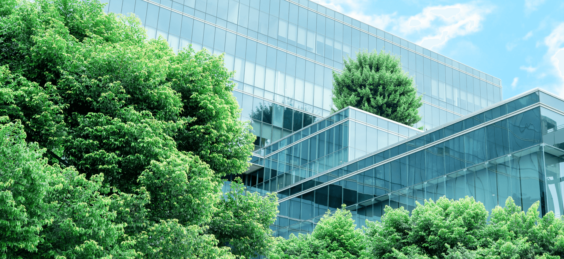 van hoa doanh nghiep